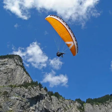 Ferienwohnung Chalet Bergblume * Kandersteg